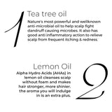 Brillare Tea Tree Hair Oil, with the Goodness of Lemon & Sunflower Oil, Dry, Itchy Scalp, 100% Natural Hair Oil, 100ml