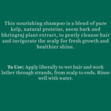 Biotique Ocean Kelp Anti-Hair Fall Shampoo For Hair Growth Therapy (650ml)